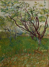 The Flowering Orchard, 1888. Creator: Vincent van Gogh.