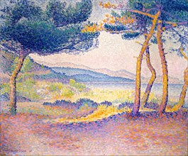 Pines Along the Shore, 1896. Creator: Henri-Edmond Cross.