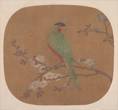 Parrot on Branch of Blossoming Tree. Creator: Unknown.