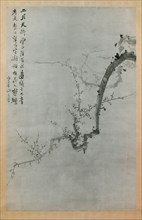 Plum Branch, dated 1888. Creator:  Yi Yuwon.