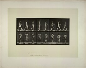 Animal locomotion: males (pelvis cloth), 1887. Creator: Muybridge, Eadweard (1830-1904).