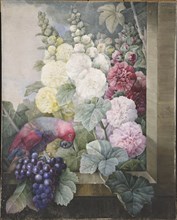 Hollyhocks, grapes and a parrot, 1836. Creator: Redouté, Pierre-Joseph (1759-1840).