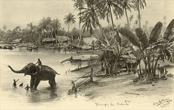 Washing an elephant in the river, Colombo, Ceylon, 1898. Creator: Christian Wilhelm Allers.