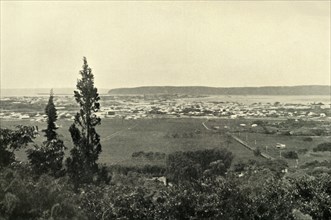 'Durban, Natal', 1901. Creator: Wilson.