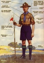 'Boy Scout Uniform and Badges', 1944. Creator: Kenneth Brookes.