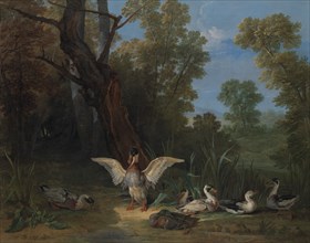 Ducks Resting in Sunshine, 1753. Creator: Jean-Baptiste Oudry.