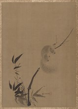 Squirrel on Bamboo, ca. 1650. Creator: Kanô Tan'yû.