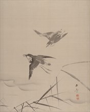 Small Birds and Bamboo, 1887-92. Creator: Gyokusho Kawabata.