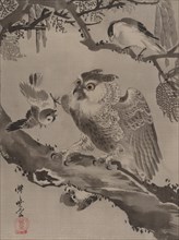 Owl Mocked by Small Birds, ca. 1887. Creator: Kawanabe Kyosai.
