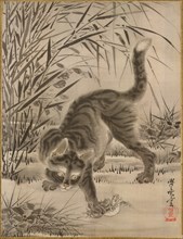 Cat Catching a Frog, ca. 1887. Creator: Kawanabe Kyosai.