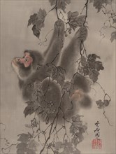 Monkey Hanging from Grapevines, ca. 1887. Creator: Kawanabe Kyosai.