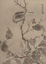 Bird and Frog, ca. 1887. Creator: Kawanabe Kyosai.