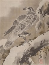 Eagle Holding Small Bird, ca. 1887. Creator: Kawanabe Kyosai.