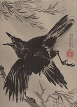 Crow and Willow Tree, November 1887. Creator: Kawanabe Kyosai.