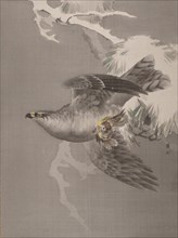 Hawk Holding a Small Bird, ca. 1891-92. Creator: Okada Baison.
