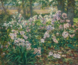 Windflowers, 1912. Creator: Gaines Ruger Donoho.