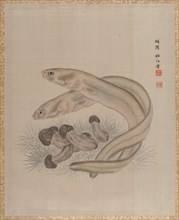 Eels, ca. 1890-92. Creator: Seki Shuko.