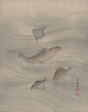 Fishes, ca. 1890-92. Creator: Seki Shuko.