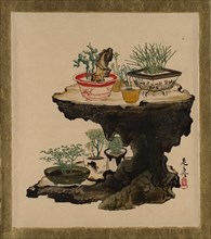 Lacquer Paintings of Various Subjects: Bonsai, 1882. Creator: Shibata Zeshin.