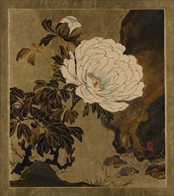 Lacquer Paintings of Various Subjects: Peonies, 1882. Creator: Shibata Zeshin.