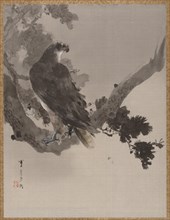 Eagle in a Tree, ca. 1887. Creator: Watanabe Seitei.