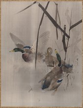 Ducks in the Rushes, ca. 1887. Creator: Watanabe Seitei.