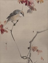 Bird on Branch Watching Spider, ca. 1887. Creator: Watanabe Seitei.
