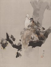Pigeons in a Tree, ca. 1887. Creator: Watanabe Seitei.