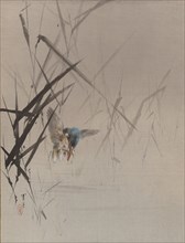 Bird Catching Fish Among Reeds, ca. 1887. Creator: Watanabe Seitei.