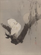 Egrets in a Tree at Night, ca. 1887. Creator: Watanabe Seitei.