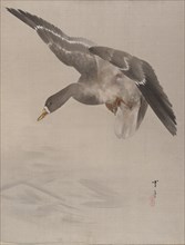 Duck, ca. 1887. Creator: Watanabe Seitei.
