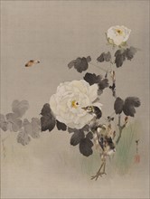 Roses, Young Bird and a Butterfly, ca. 1887. Creator: Watanabe Seitei.