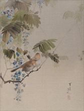 Birds and Flowers, ca. 1887. Creator: Watanabe Seitei.