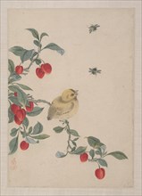 Birds, Insects and Flowers, 19th century. Creator: Yi Zhai.