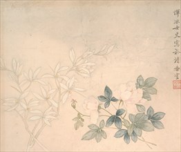 Flower Study, 17th century. Creator: Yun Bing.