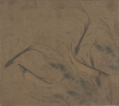 Fish at play, 12th-late 13th century. Creator: Attributed to Zhao Kexiong (Chinese, active early 12th century).