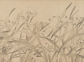 Narcissus, mid-13th century. Creator: Zhao Mengjian.