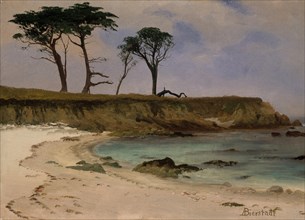 Sea Cove, ca. 1880-90. Creator: Albert Bierstadt.
