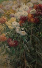 Chrysanthemums in the Garden at Petit-Gennevilliers, 1893. Creator: Gustave Caillebotte.