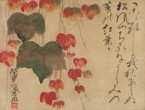 Autumn Ivy, after 1732. Creator: Ogata Kenzan.