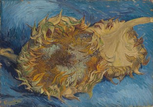 Sunflowers, 1887. Creator: Vincent van Gogh.