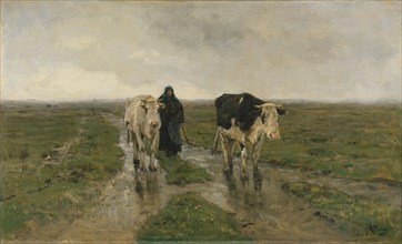 Changing Pasture, ca. 1880s. Creator: Anton Mauve.
