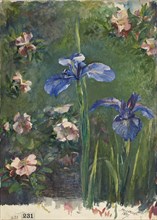 Wild Roses and Irises, 1887. Creator: John La Farge.