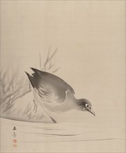 Bird at the Water's Edge, 1887-92. Creator: Gyokusho Kawabata.
