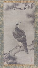 Hawk on a Pine (Shoo zu), 16th century. Creator: Kano Yukinobu.