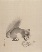 Squirrel Eating Chestnuts, 1887-92. Creator: Gyokusho Kawabata.