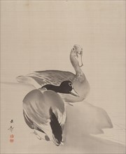 Pair of Ducks, 1887-92. Creator: Gyokusho Kawabata.