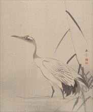 Crane Among Reeds, 1887-92. Creator: Gyokusho Kawabata.