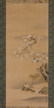 Waxwings, Cherry Blossoms, and Bamboo, late 17th century. Creator: Kiyohara Yukinobu.