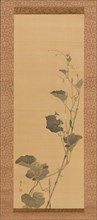 Calabash Flowers and Beetle, early 19th century. Creator: Maruyama Ôshin.